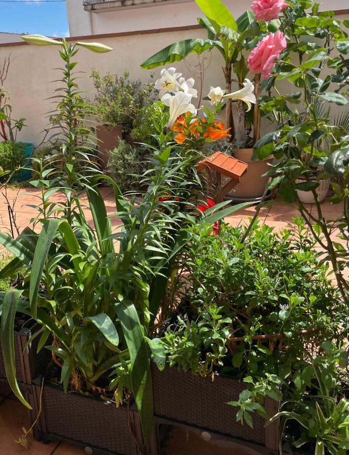 Figueres Center Apartment Екстериор снимка