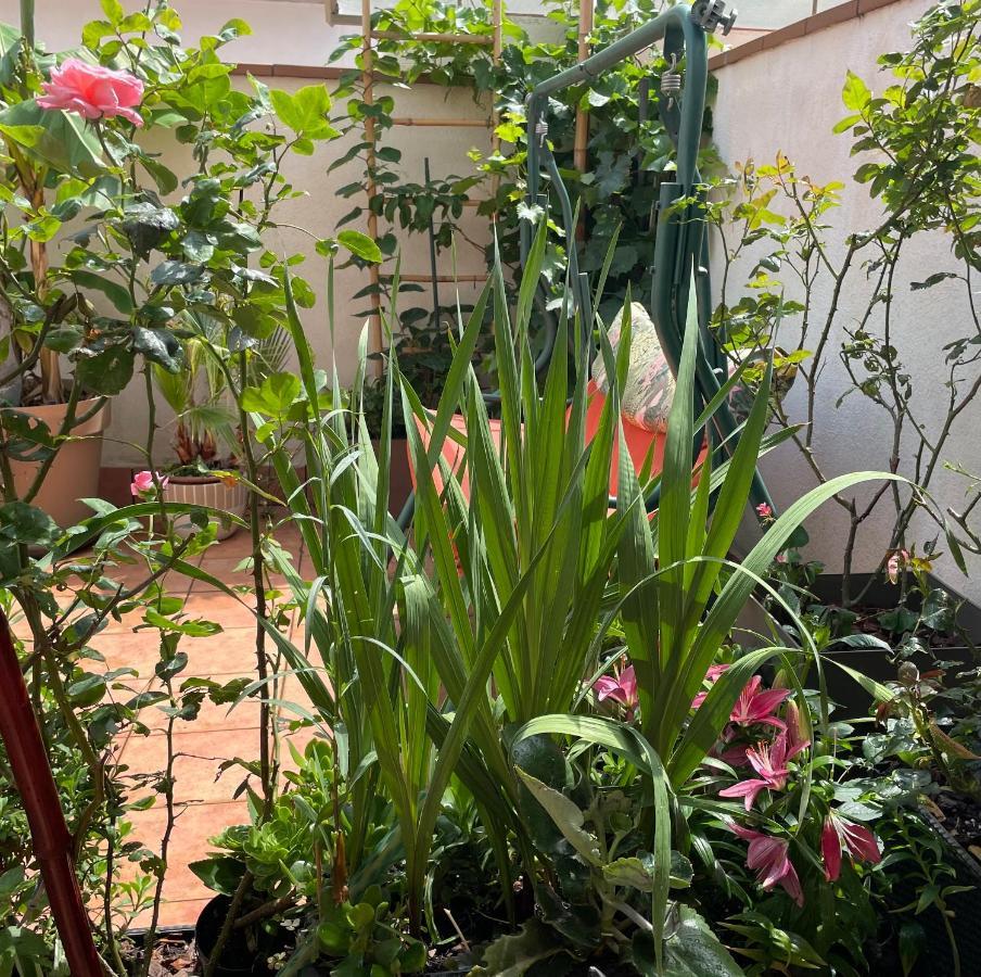Figueres Center Apartment Екстериор снимка