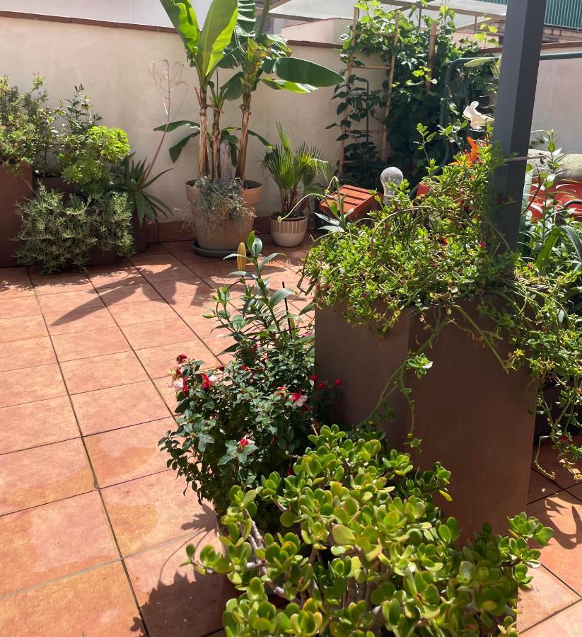 Figueres Center Apartment Екстериор снимка