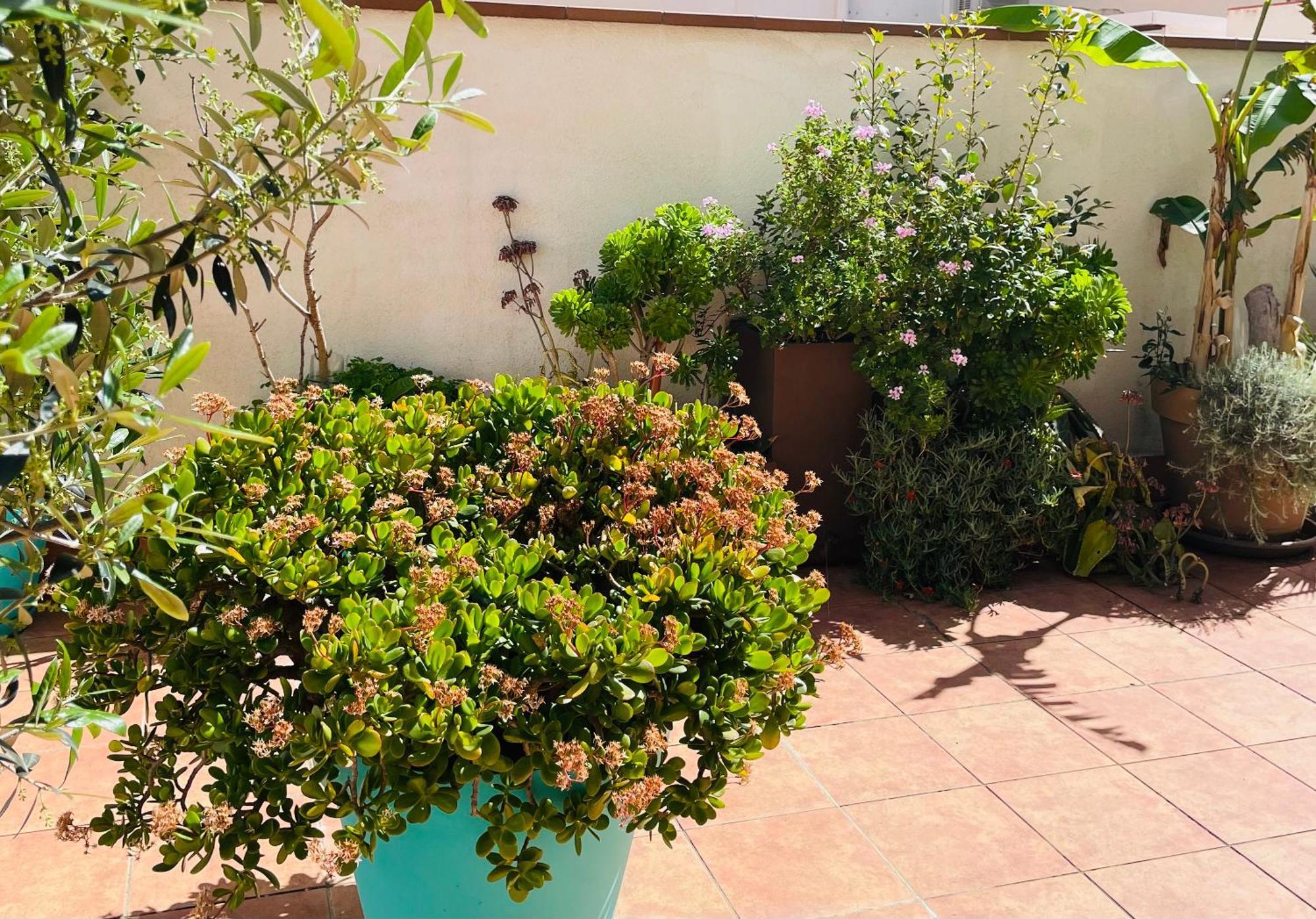 Figueres Center Apartment Екстериор снимка